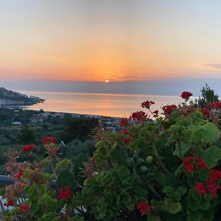 Dreaming Penthouse Appartement Vieste Buitenkant foto
