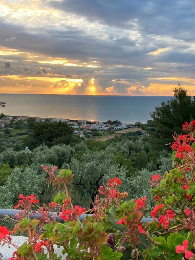 Dreaming Penthouse Appartement Vieste Buitenkant foto