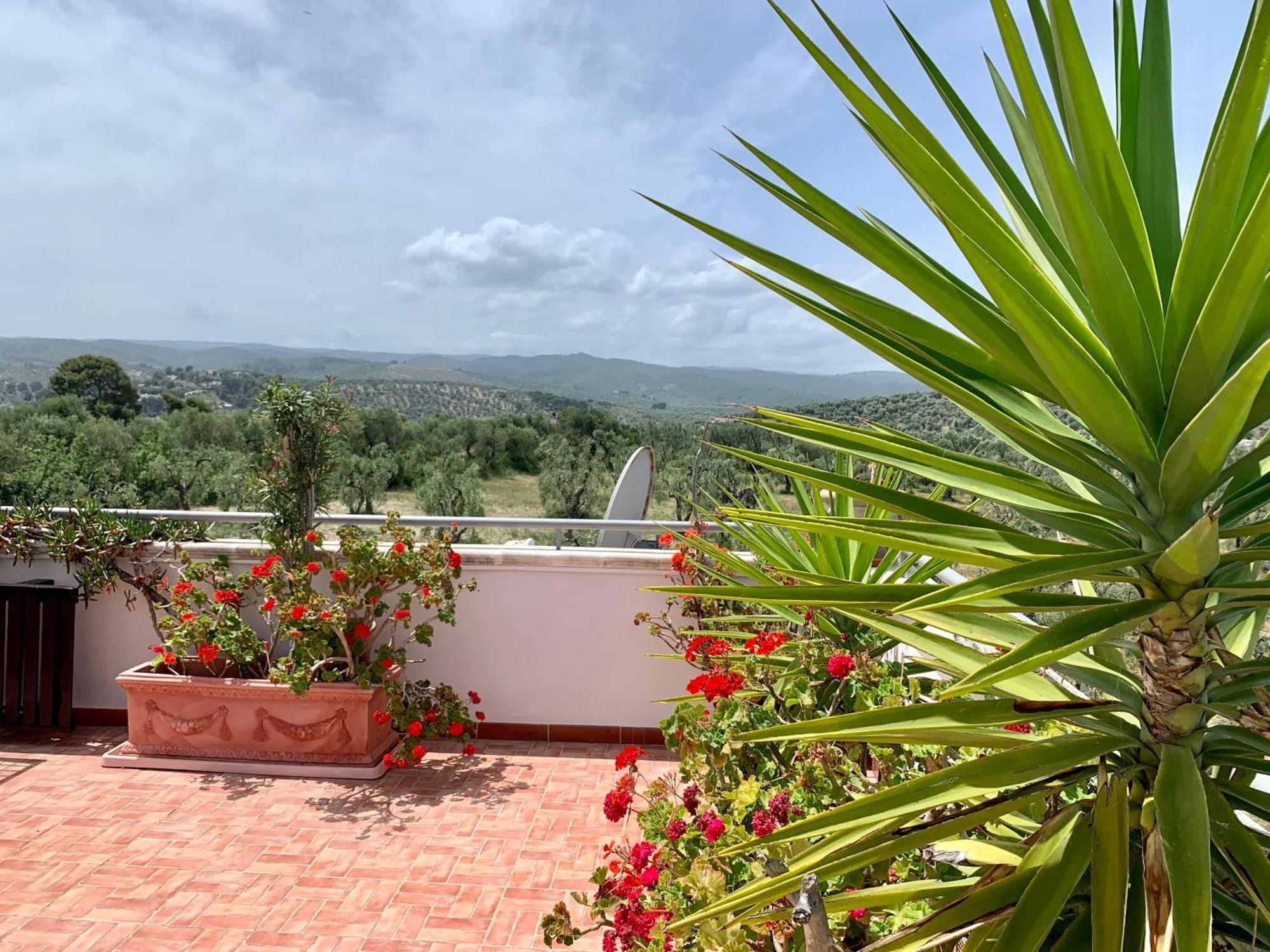 Dreaming Penthouse Appartement Vieste Buitenkant foto