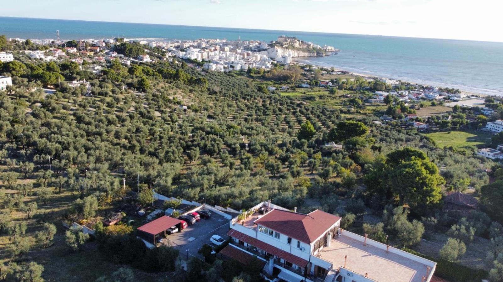 Dreaming Penthouse Appartement Vieste Buitenkant foto