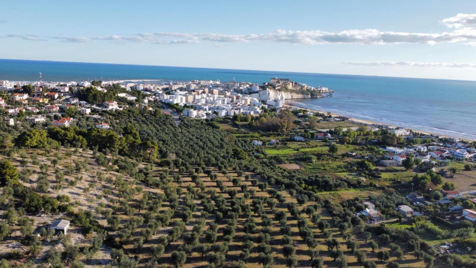 Dreaming Penthouse Appartement Vieste Buitenkant foto