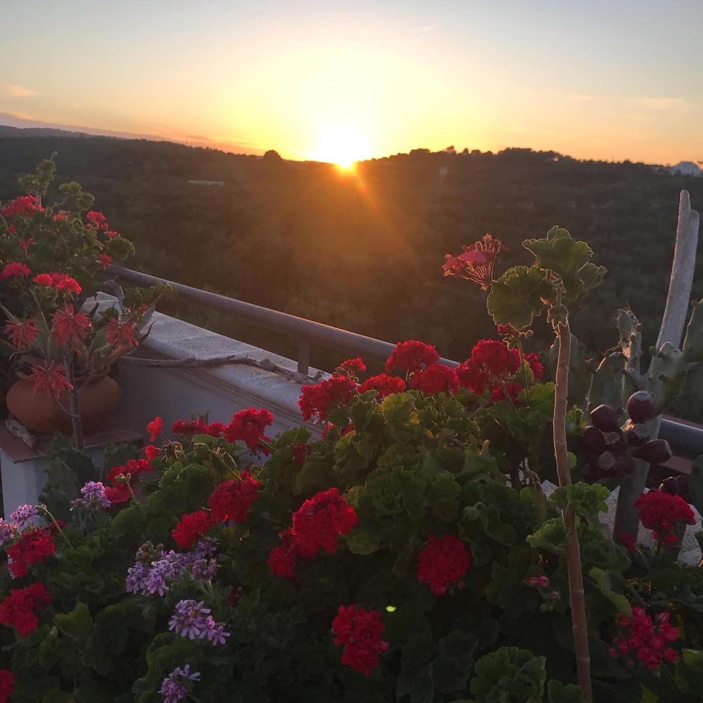 Dreaming Penthouse Appartement Vieste Buitenkant foto