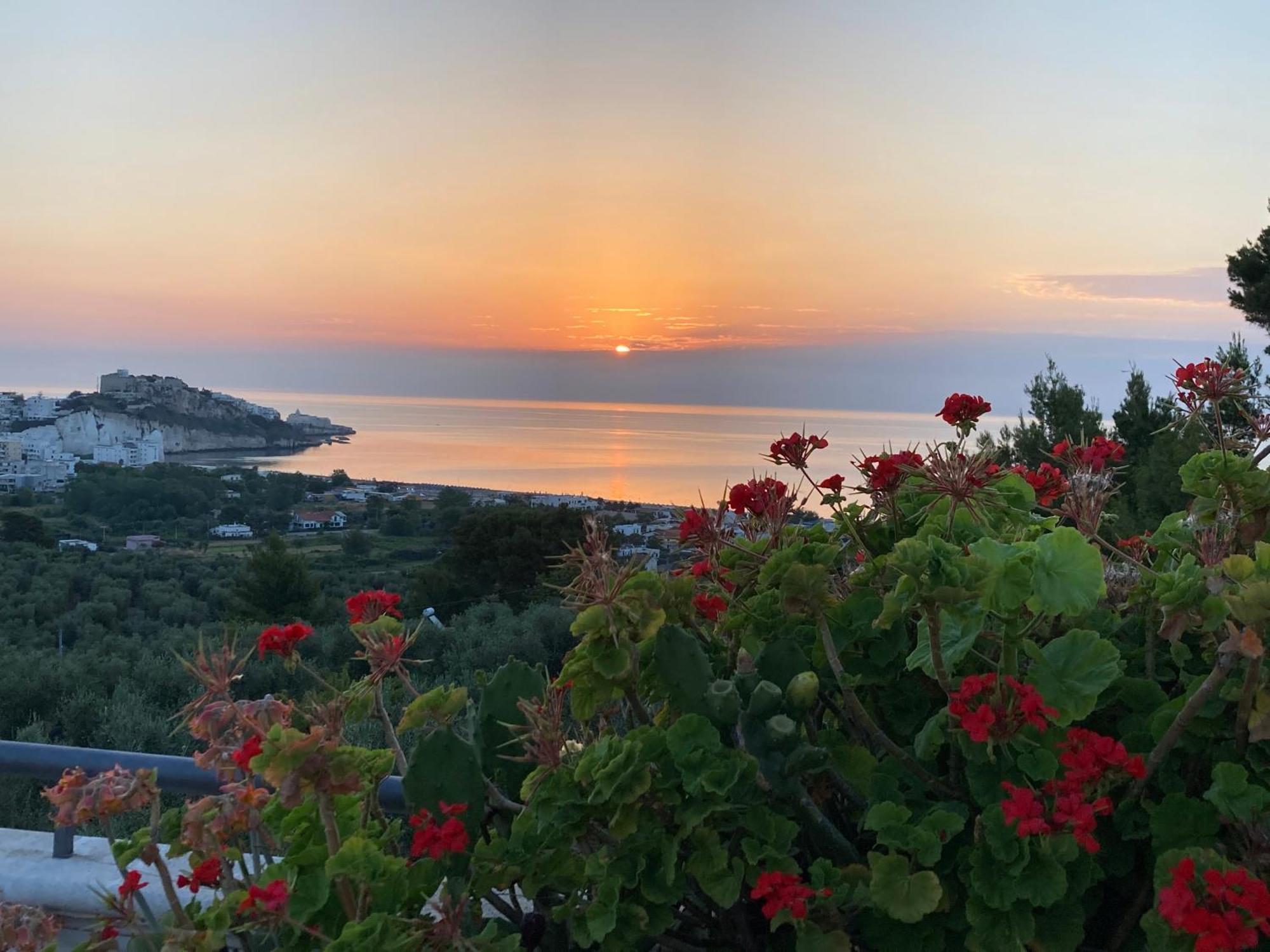 Dreaming Penthouse Appartement Vieste Buitenkant foto
